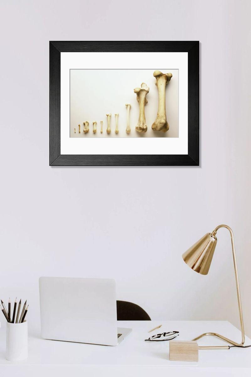 Shown hanging in a room: Modern 14"x12" (36x31cm)