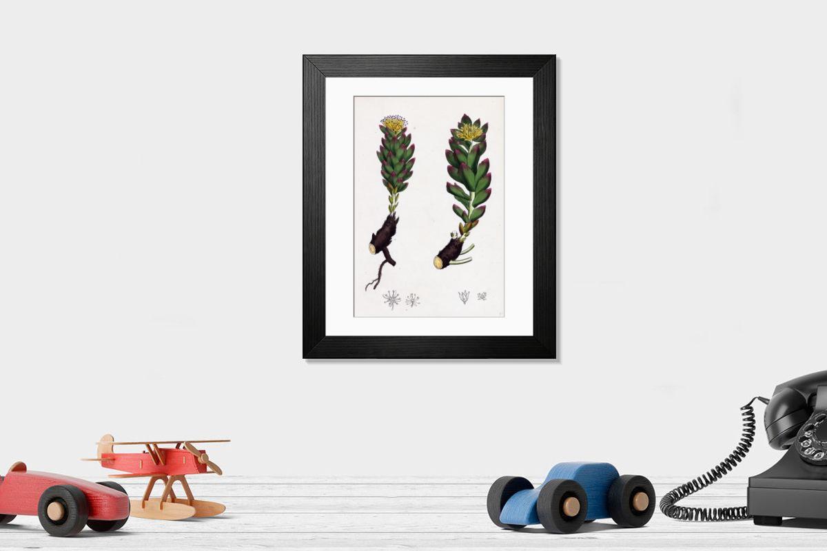 Shown hanging in a room: Modern 14"x12" (36x31cm)