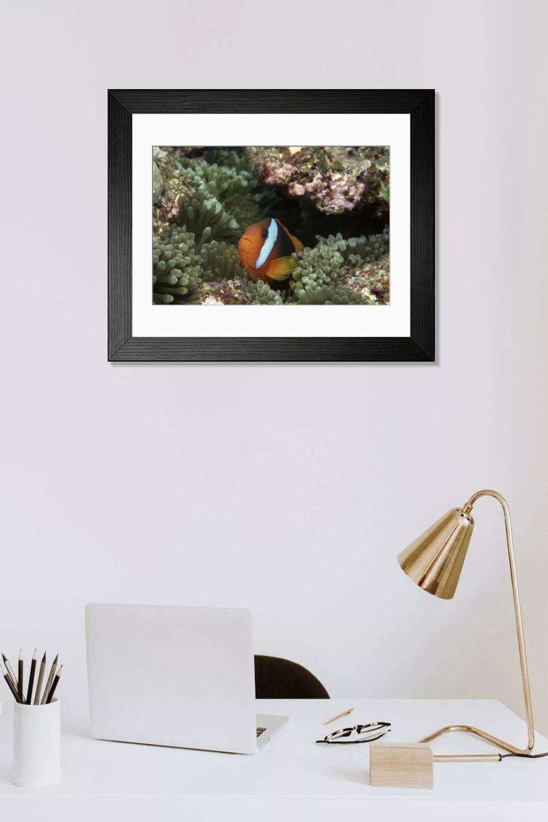 Shown hanging in a room: Modern 14"x12" (36x31cm)