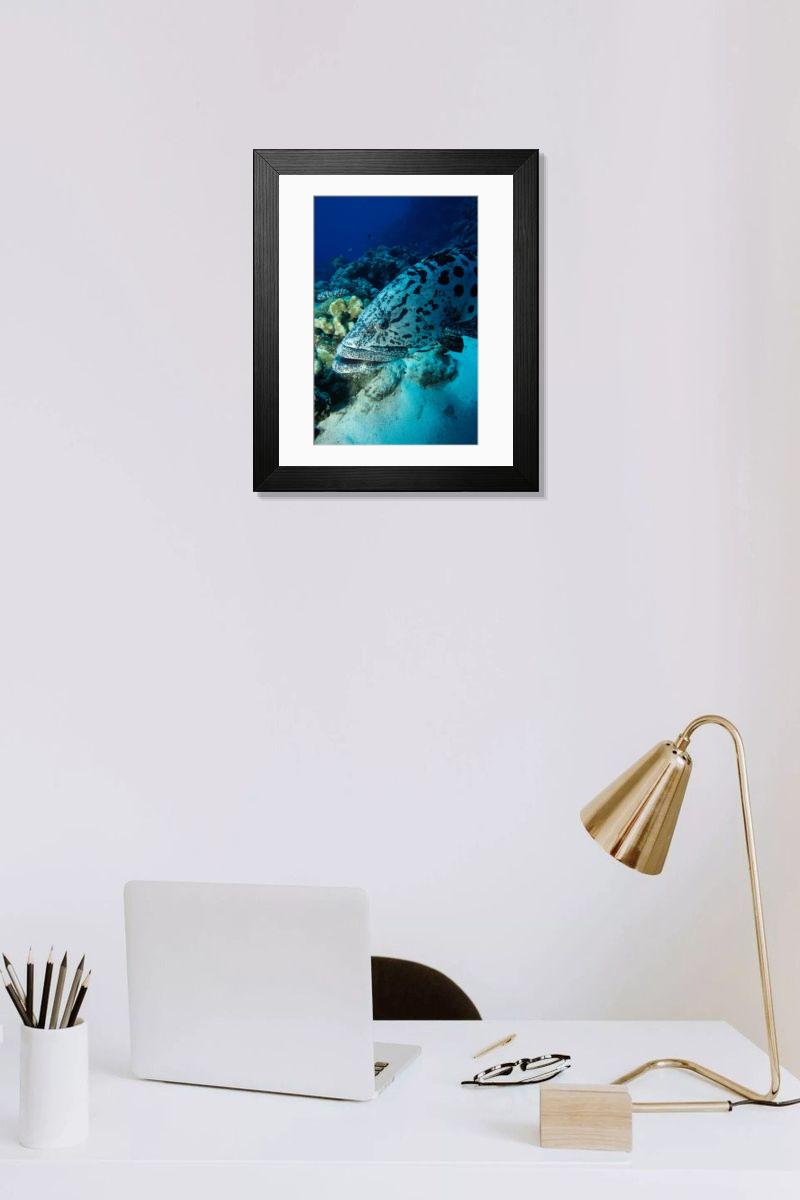 product preview 0