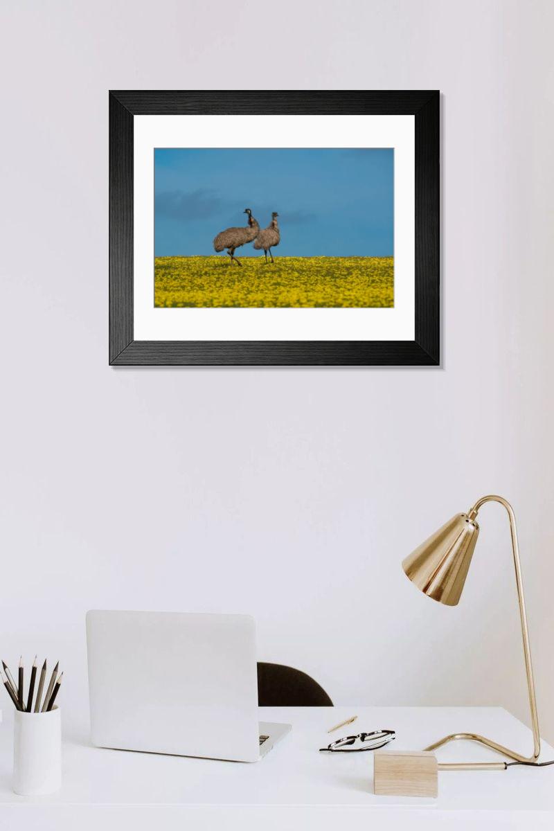 product preview 0