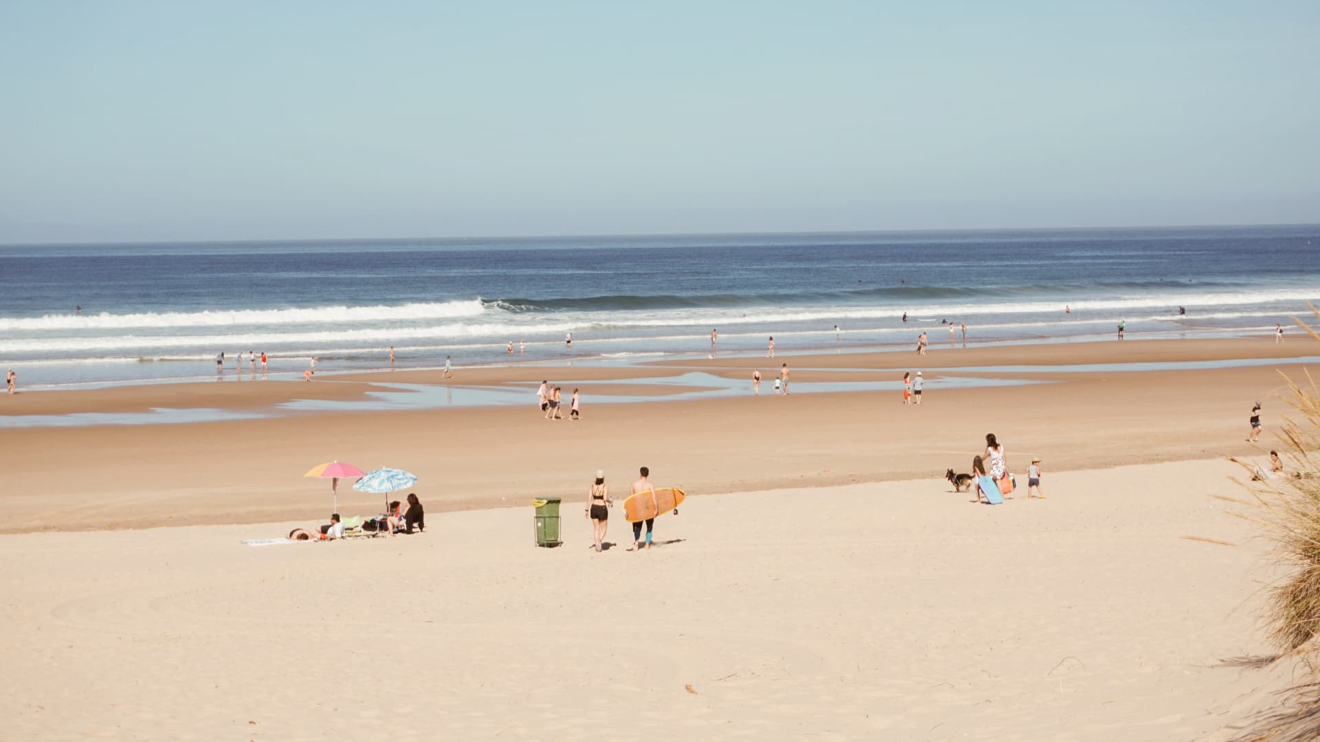 learning to surf at 50 