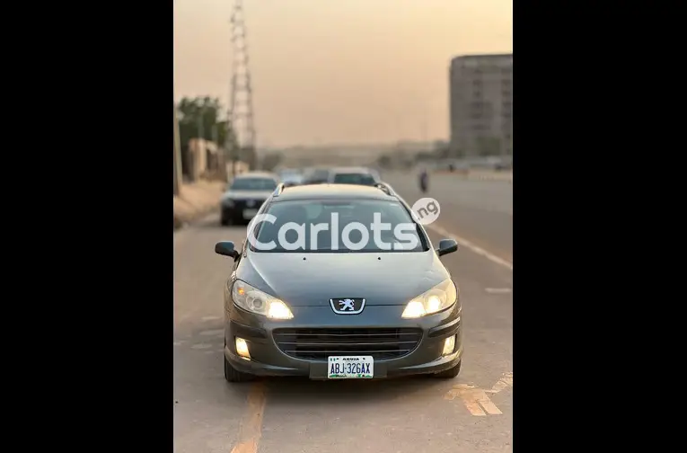 CLEAN PEUGEOT 307 - 1/5