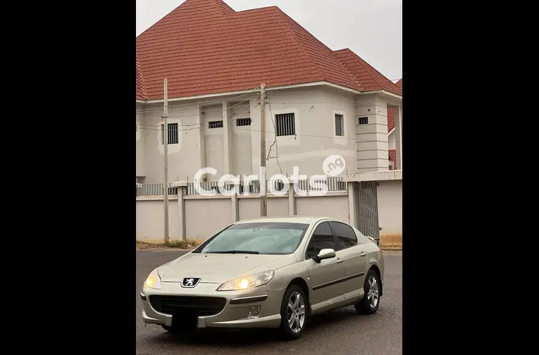 SUPER CLEAN AUTOMATIC PEUGEOT 407 - 2/5