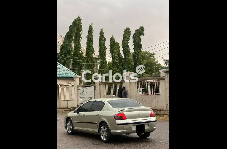 SUPER CLEAN AUTOMATIC PEUGEOT 407 - 5/5