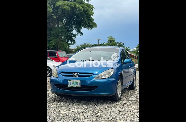 2005 Peugeot 307 - 1/7