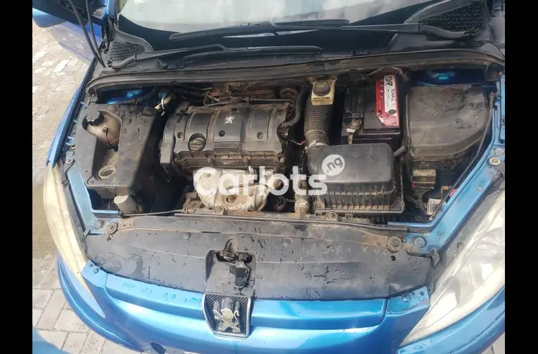 2005 Peugeot 307 - 7/7