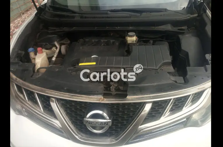 Nissan Murano 2011 model XLE LIMITED - 2/7