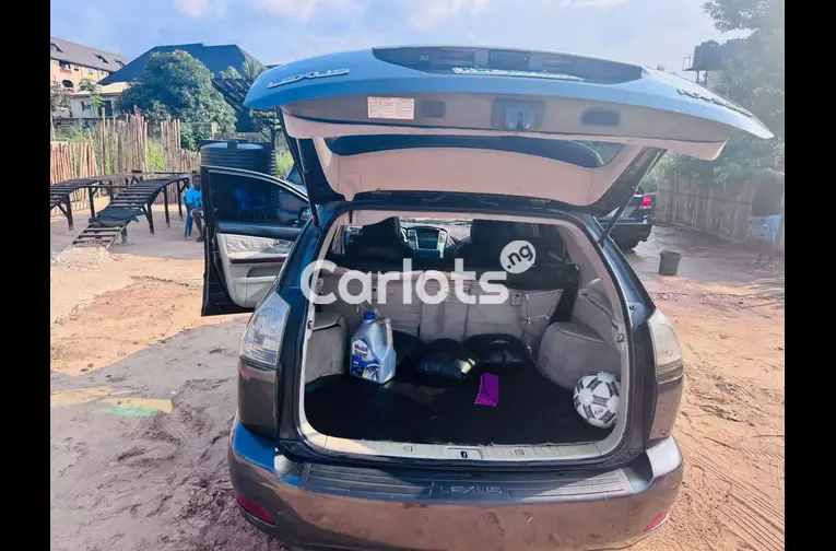 Lexus RX 330 2006 - 2/6