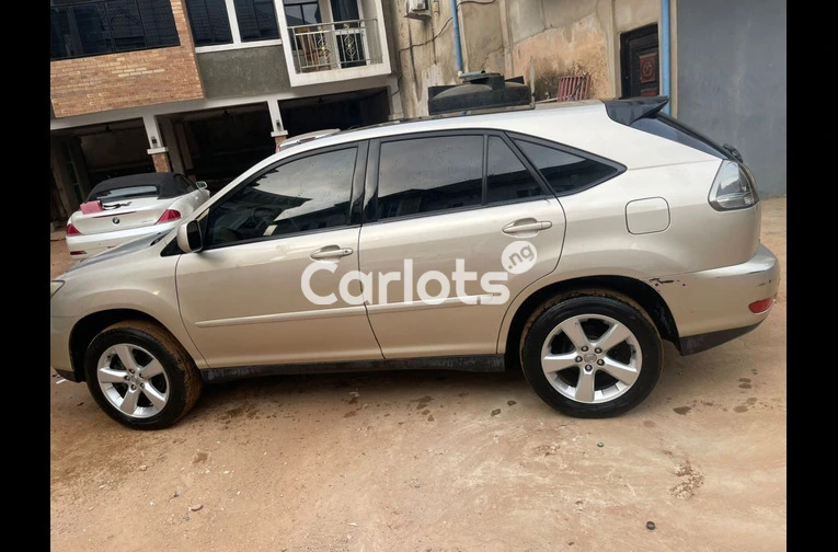 Lexus RX 330 2008 - 2/6