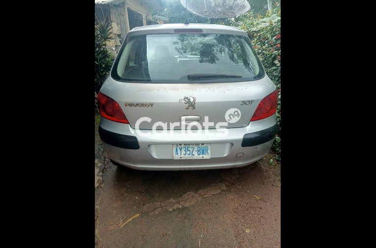 2007 Peugeot 307 - 4/4