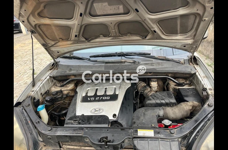 Very Neatly used Hyundai Tucson 2007 - 5/7