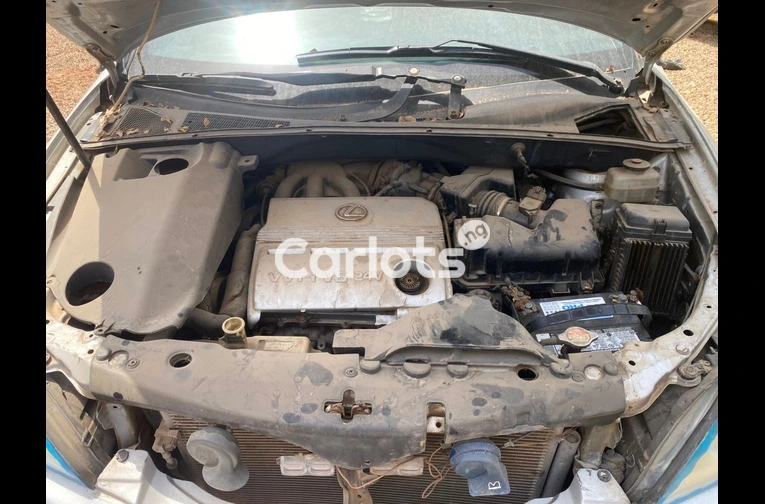 Registered 2007  Lexus Rx 330 - 5/6