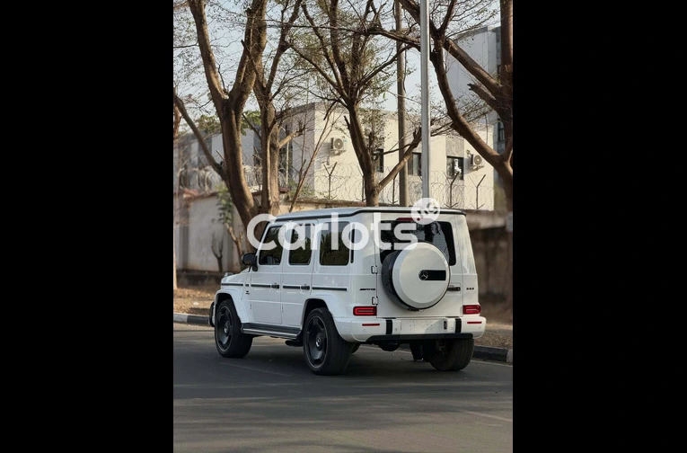 2019 Mercedes-Benz G6 - 7/7