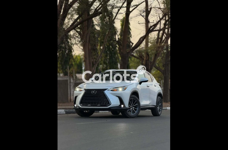 Lexus NX 250 2024 FOREIGN USED