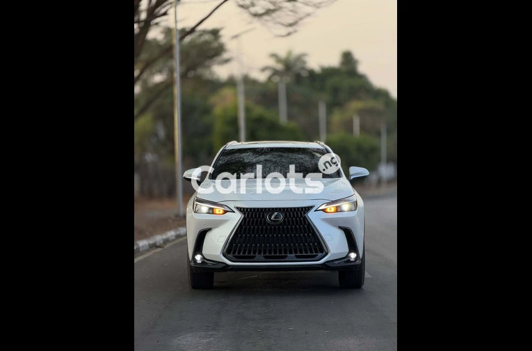Lexus NX 250 2024 FOREIGN USED - 2/7