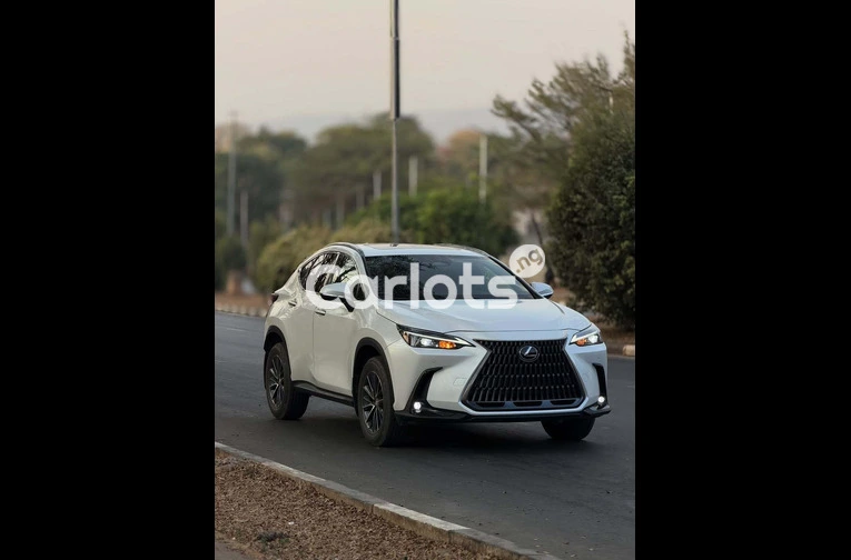 Lexus NX 250 2024 FOREIGN USED - 3/7