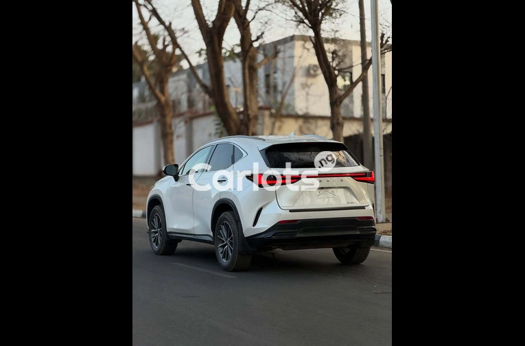 Lexus NX 250 2024 FOREIGN USED - 7/7