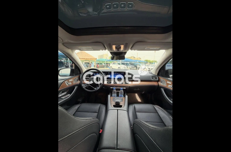 2024 MERCEDES BENZ GLE 350 - 6/7