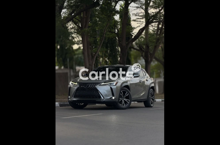2024 LEXUS UX200