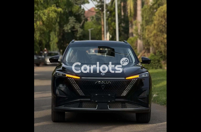 BRAND NEW 2025 DONGFENG AEOLUS MAGE - 2/7