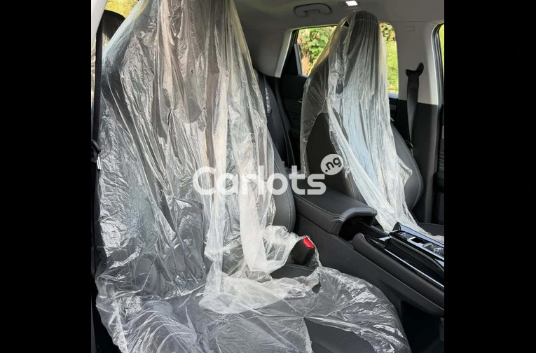 BRAND NEW 2025 DONGFENG AEOLUS MAGE - 4/7