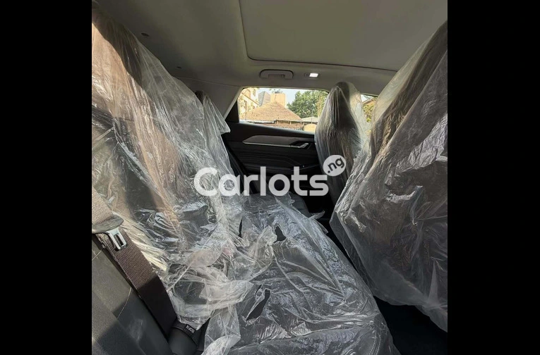 BRAND NEW 2025 DONGFENG AEOLUS MAGE - 5/7