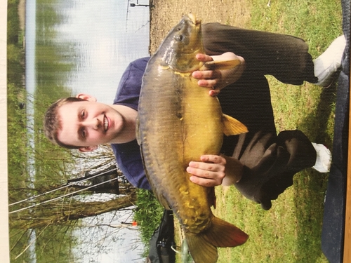 Mirror Carp captured from Oxford Linear by Ben