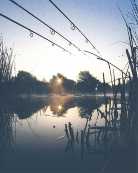 Fishing near me Bluebells lakes