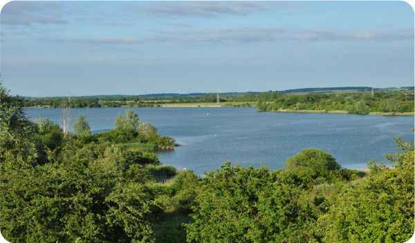 fishing near me brogborough hill pit