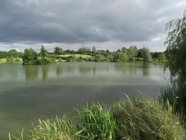 Fishing near me Tylers Common Fisheries