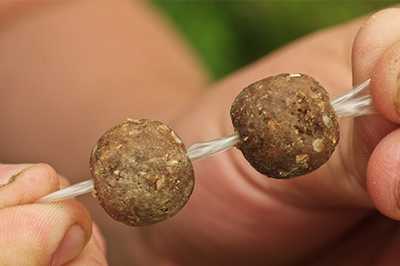 carp fishing stringer setup