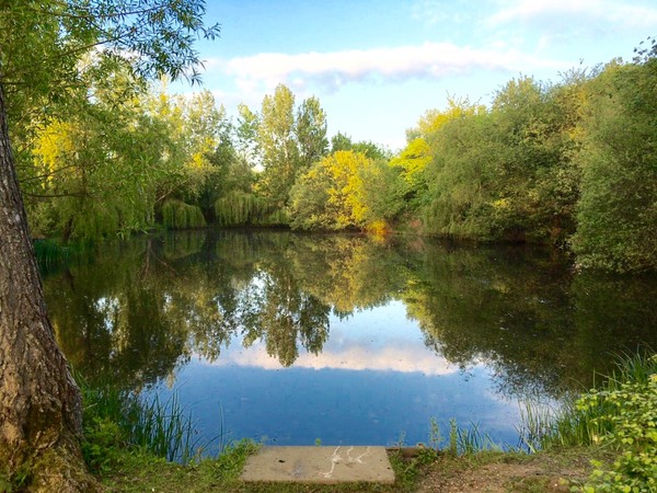 fishing near me Wintons fishery