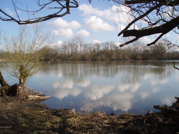 carp fishing near me - Naseby reservoir