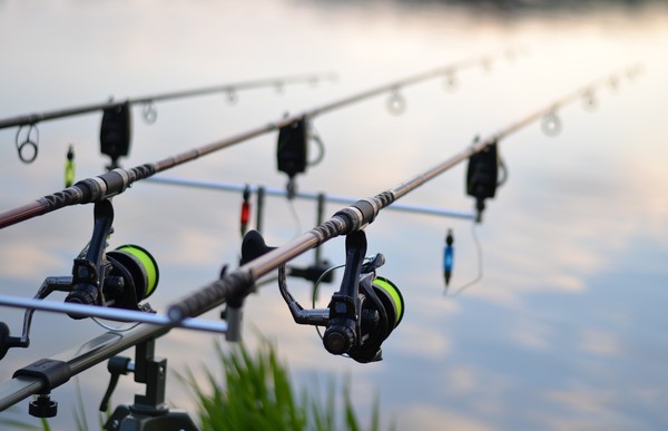 Ultimate Guide to Choosing the Right sized Carp Rod - Lake Amenity