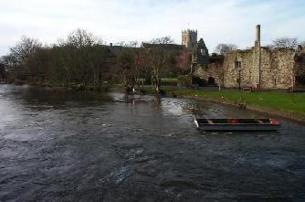 Fishing near me The Royal Fishery