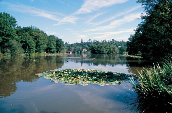 Fishing near me Bury Hills old lake