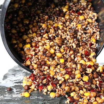 Best Particle Mix Groundbait For Carp Fishing - Carp Bait Recipe 