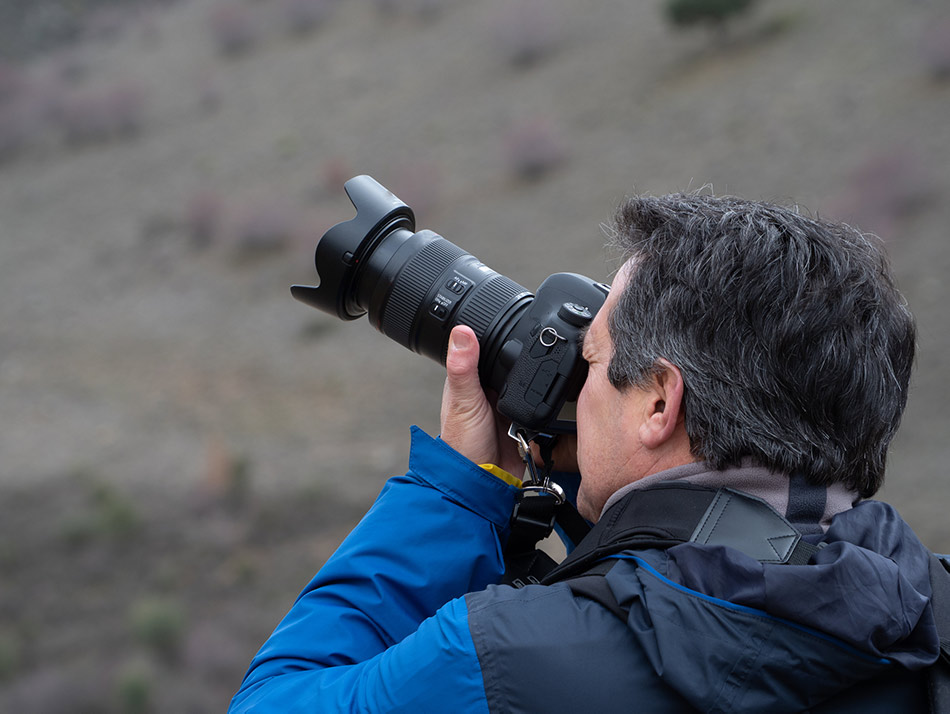 Mirrorless fascia intermedia di prezzo