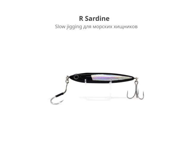 124 Sardine