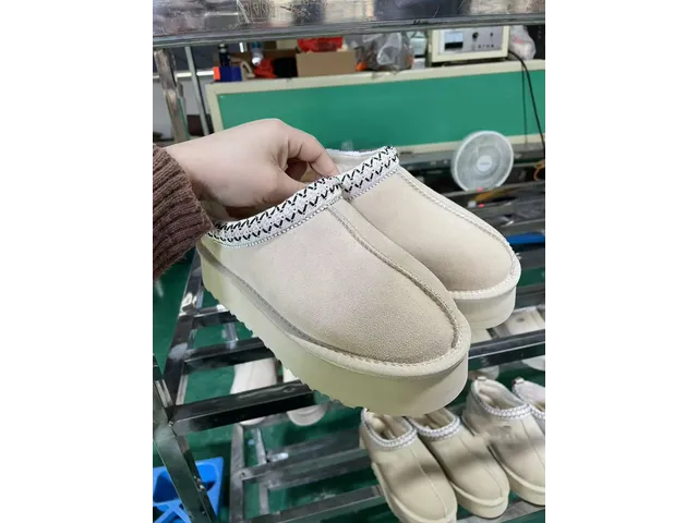 Цикорий