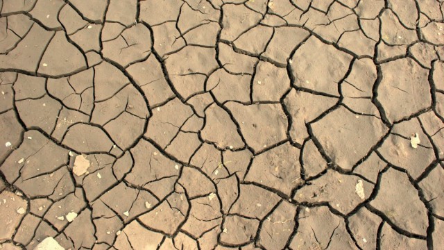 June was one of the driest recorded