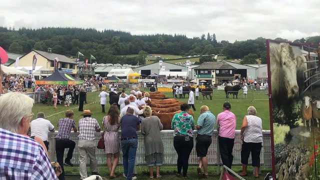 Royal Welsh