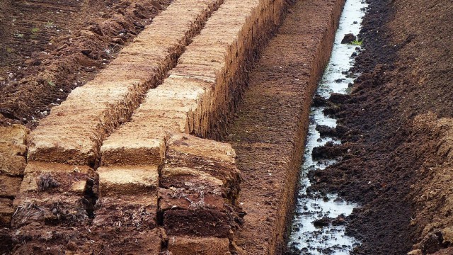 peat