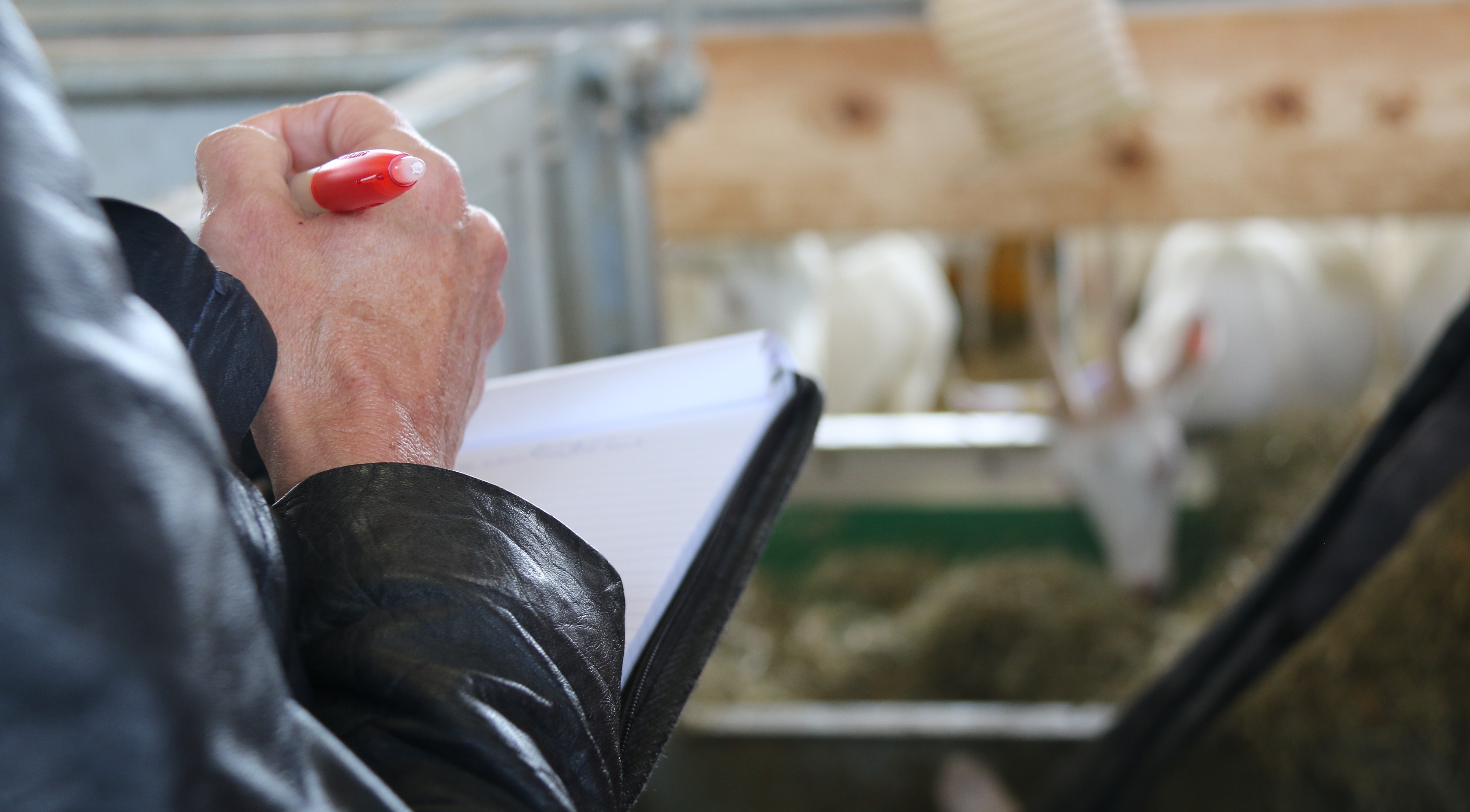 Official veterinarian struck off for falsifying slaughterhouse