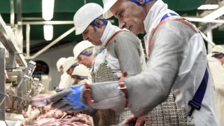 Danish Crown profits drop blamed on problems in the UK