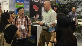 New business in Asia boost for Welsh Lamb