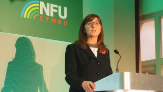 Griffiths: Maintaining the status quo is ‘not an option’ post-Brexit