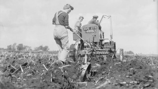 WWI: What can we learn from the few who fed the many?