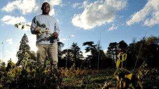 RAU research boosted by £2 million donation